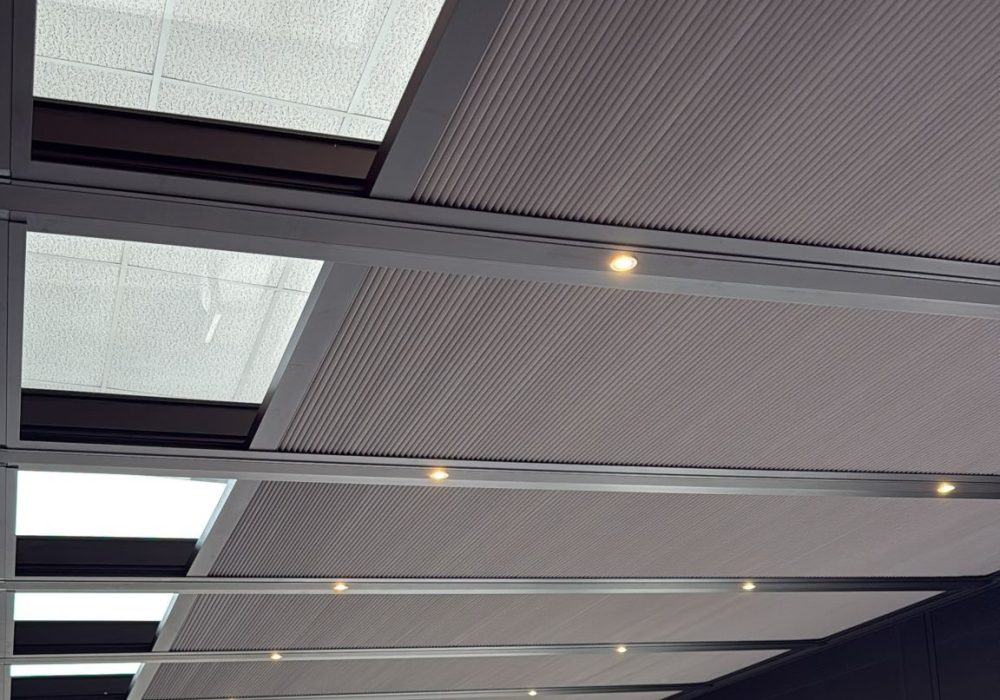 WhatsApp Image 2026-02-19 at 4.53.55 PM